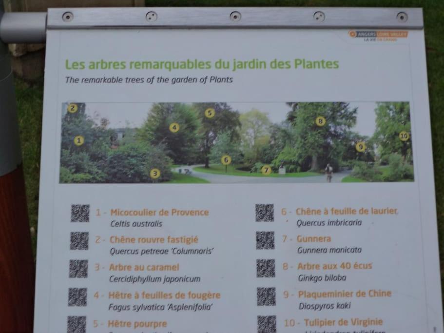 La Bergerie Angers Centre Ville Экстерьер фото